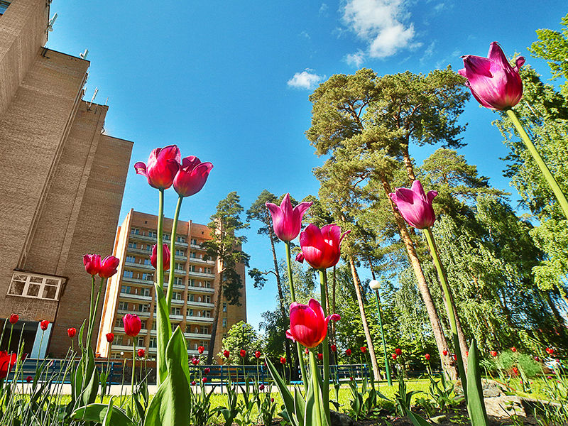 Санаторий имени В. В. Володарского, Пензенская область, Пенза Пенза Бессоновский район