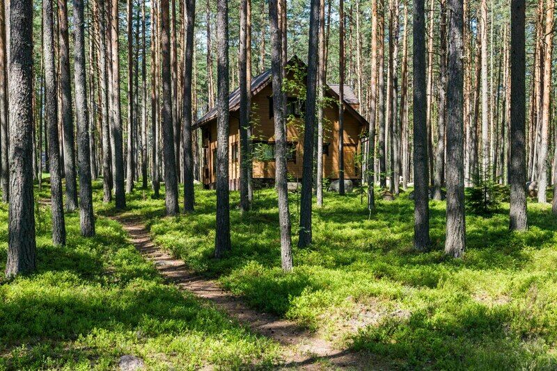 Тихий берег, Ленинградская область: фото 2