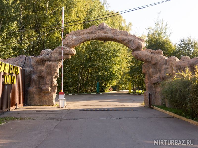 Оазис в лесу, Московская область: фото 4