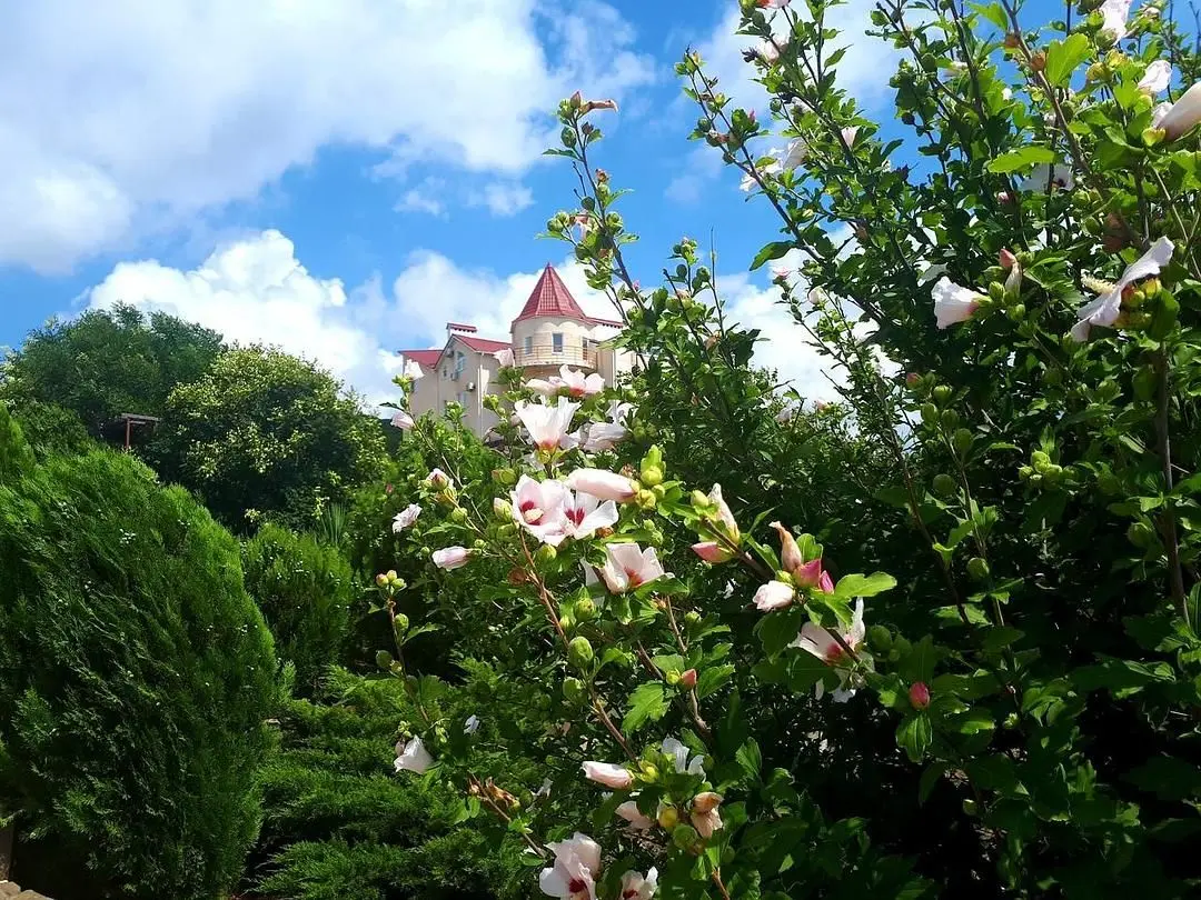 Пансионат Шингари, село Сукко, Краснодарский край