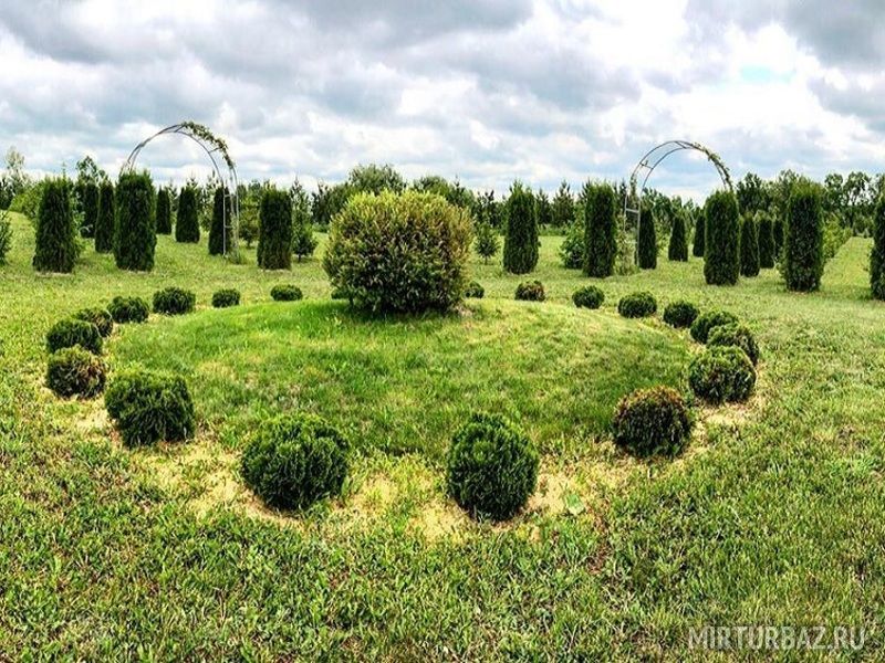 Дома в аренду, Тамбовская область: фото 4