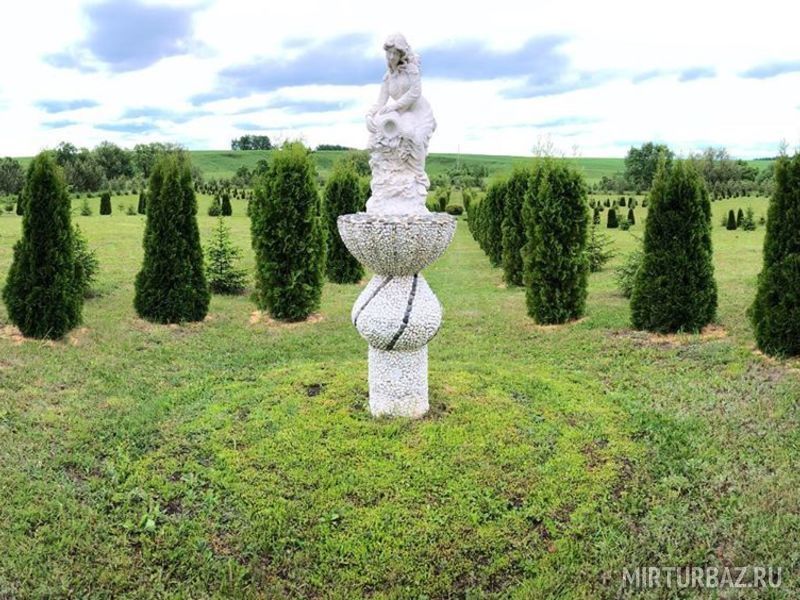 Дома в аренду, Тамбовская область: фото 5