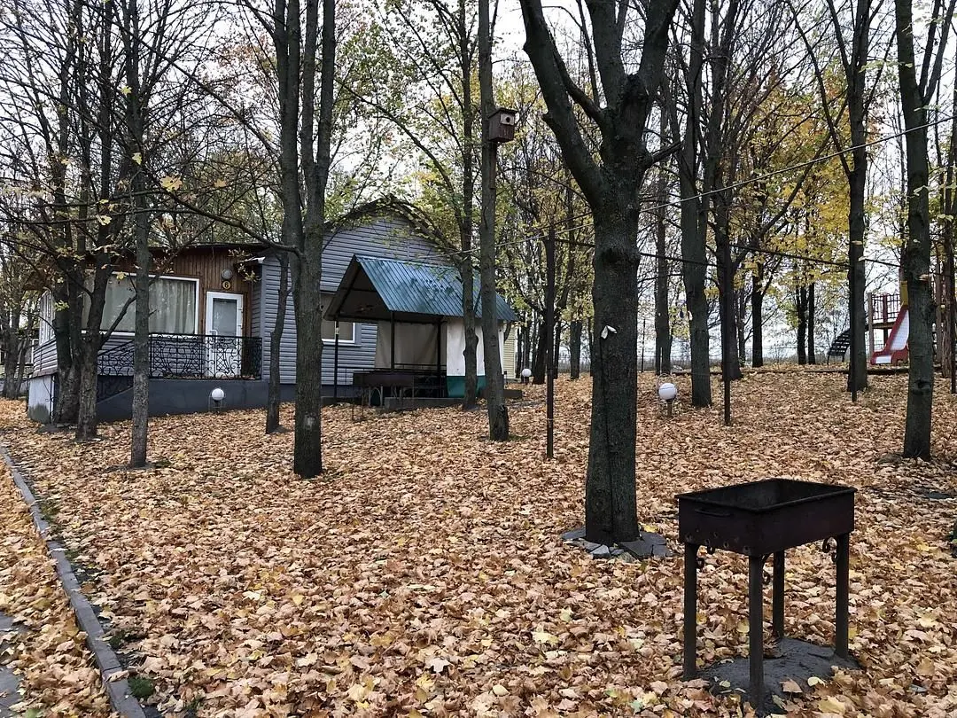 Зеленая поляна, Белгородская область: фото 2