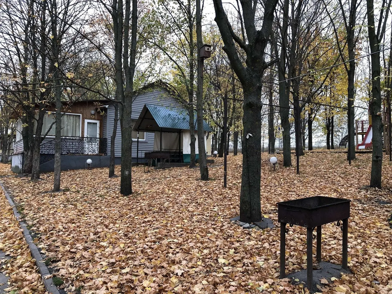 Зеленая поляна, Белгородская область: фото 2