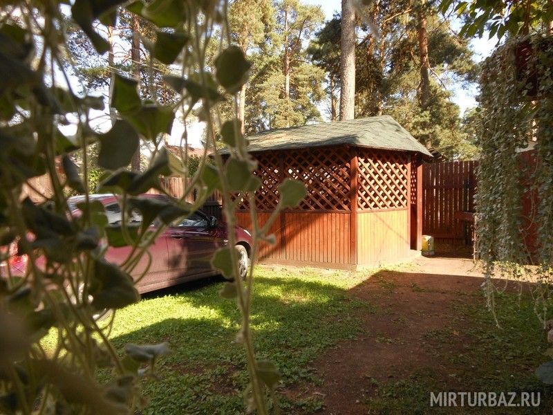 Дом в сосновом бору, Тверская область: фото 3