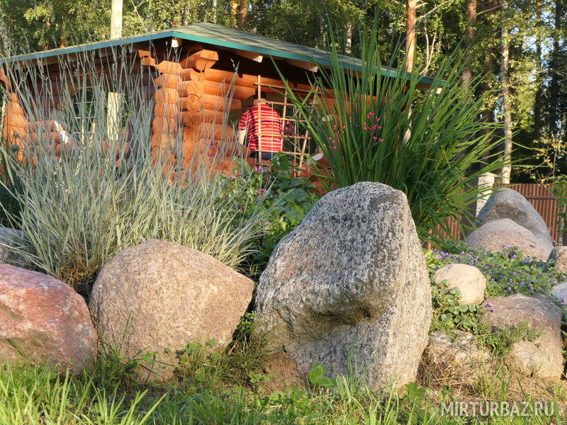 Приозерский Страус, Ленинградская область: фото 5