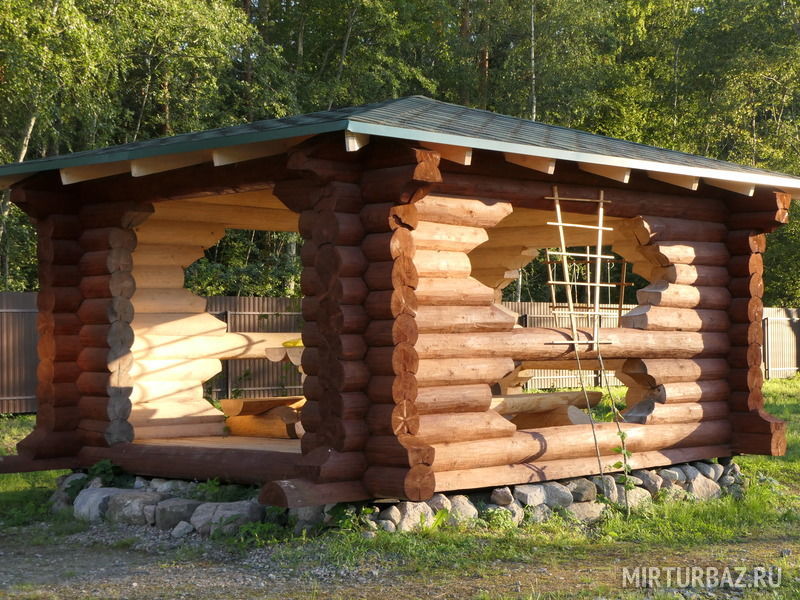 Приозерский Страус, Ленинградская область: фото 3