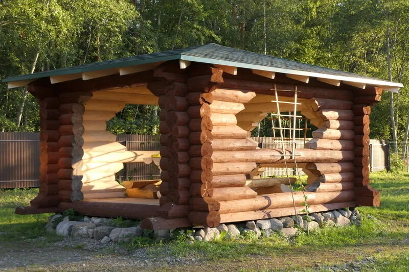 Приозерский Страус, Ленинградская область: фото 3