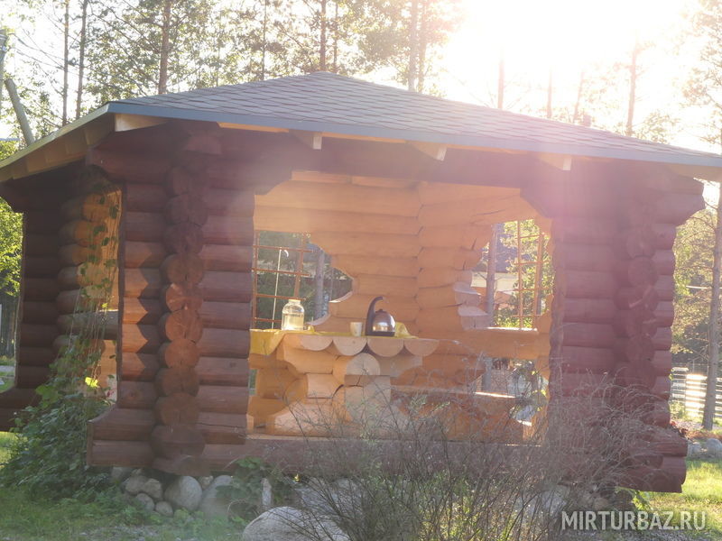 Приозерский Страус, Ленинградская область: фото 4