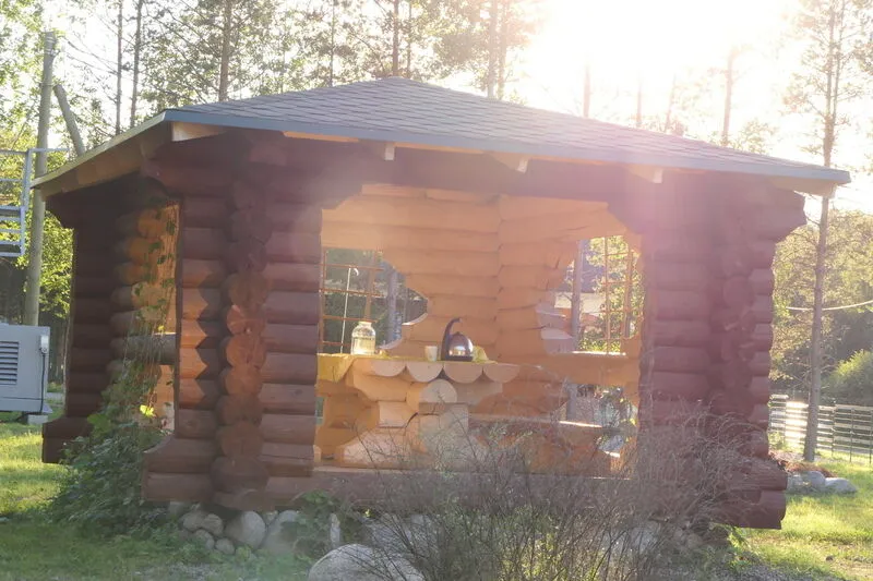 Приозерский Страус, Ленинградская область: фото 4