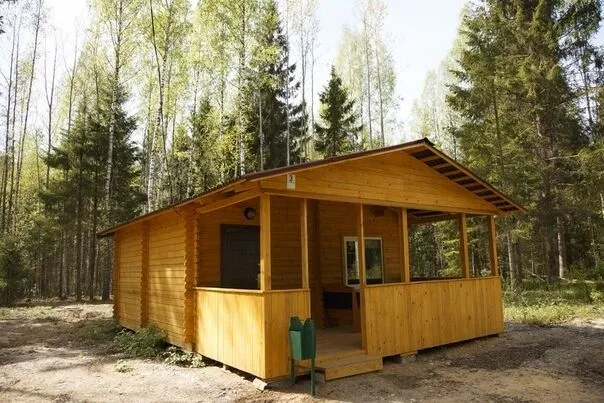 Лужская лилия, Ленинградская область: фото 2