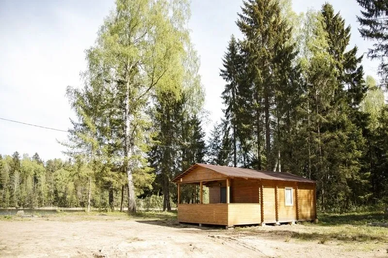 Лужская лилия, Ленинградская область: фото 4