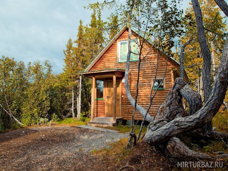 Лесная сказка, Ненецкий автономный округ: фото 2