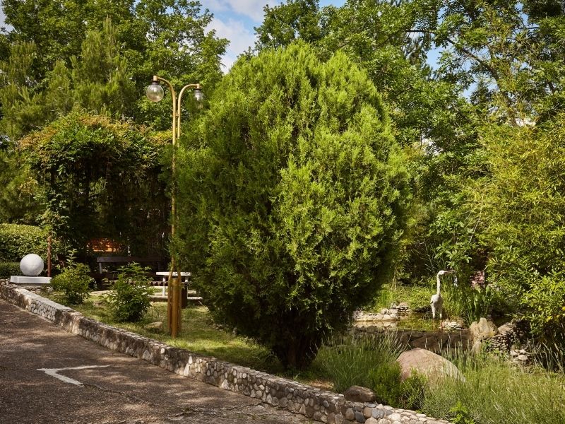 Маяк, Краснодарский край: фото 5