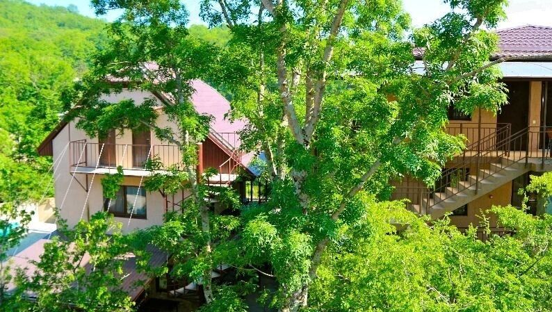 Территория | Нефтяник, Краснодарский край