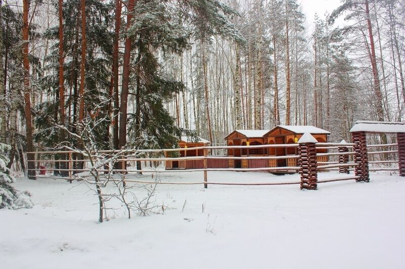 Золинское озеро, Нижегородская область: фото 4