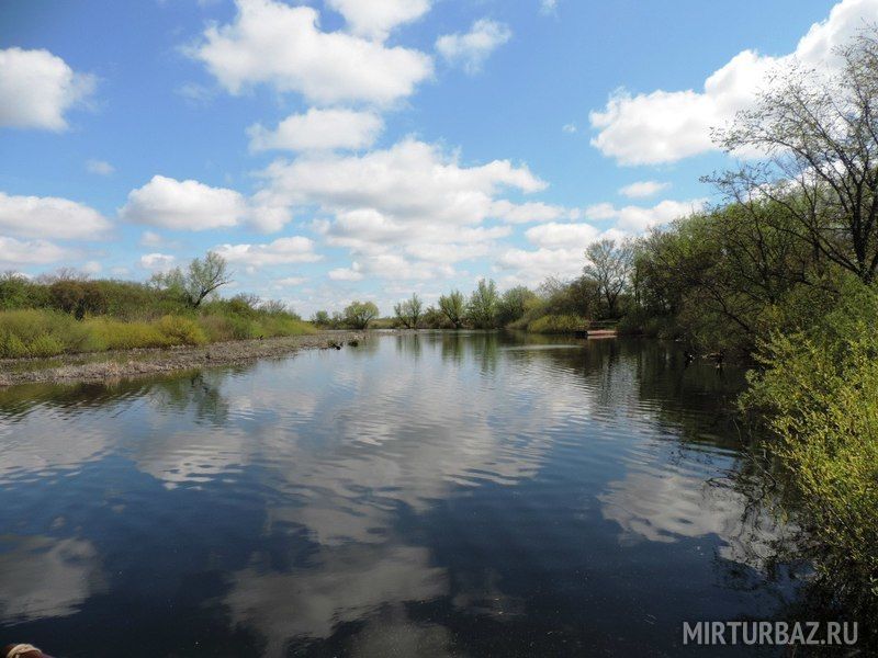 Заир, Волгоградская область: фото 5