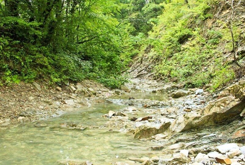 Речка около базы | Черномор и Ко, Краснодарский край