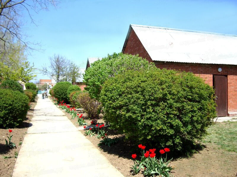 Территория | Юлия, Краснодарский край