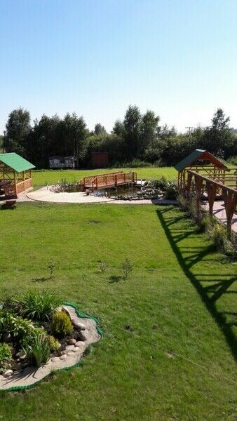 У озера, Новосибирская область: фото 5