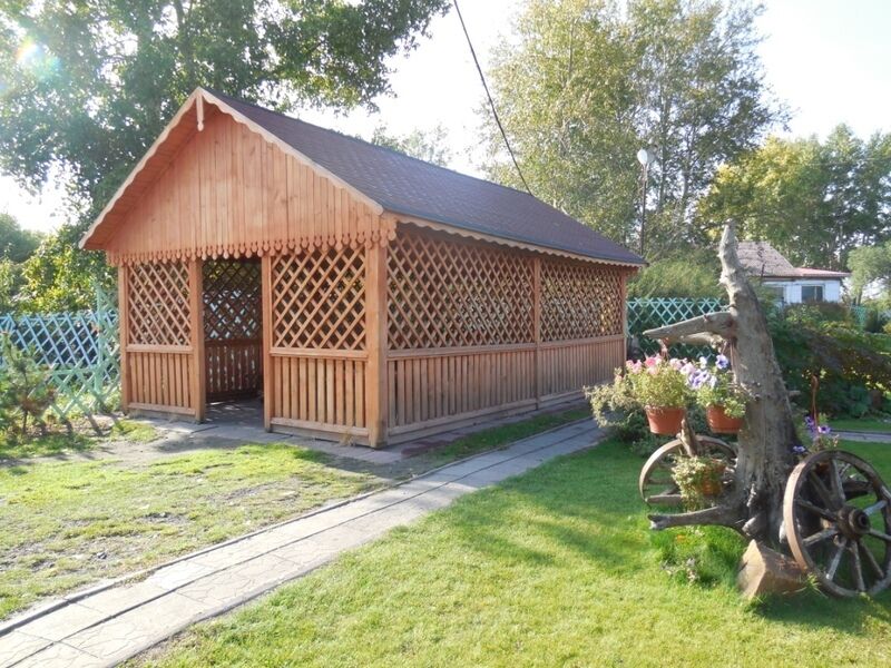 У озера, Новосибирская область: фото 2