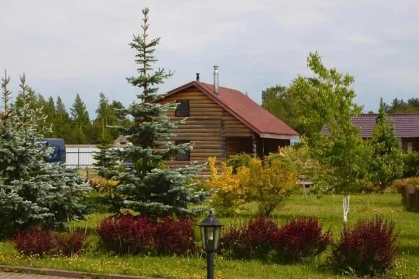 Петровские дачи, Ленинградская область: фото 4