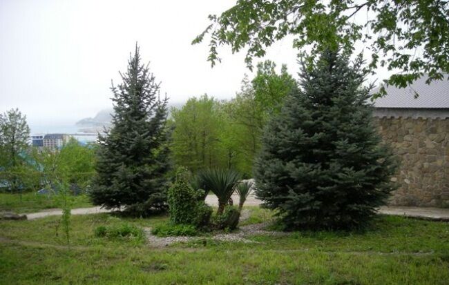 Территория | Солнечная поляна, Краснодарский край