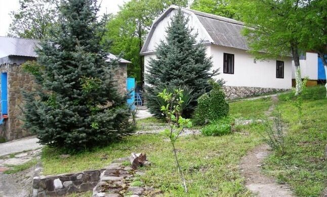 Территория | Солнечная поляна, Краснодарский край