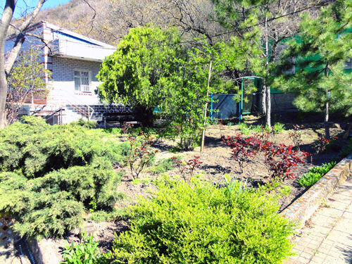 Территория | Чайка, Краснодарский край