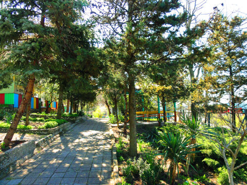 Территория | Чайка, Краснодарский край