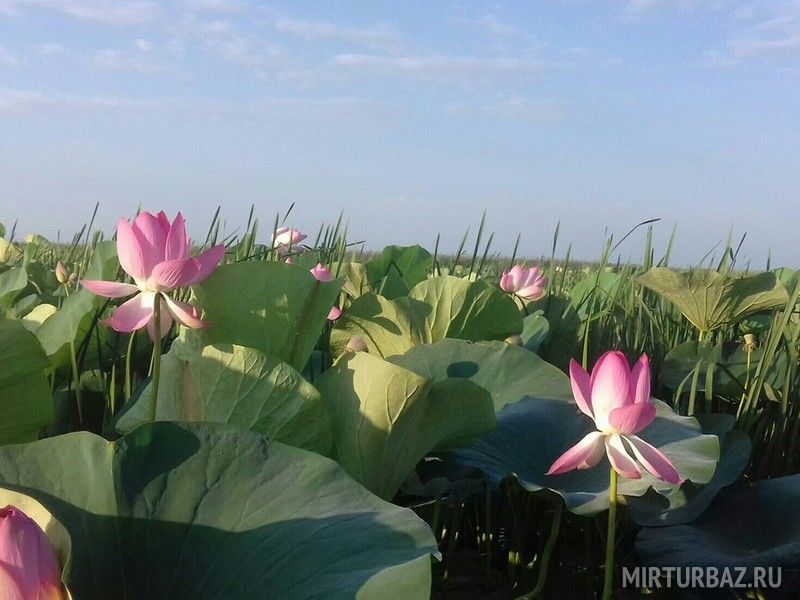 Астрахань 78, Астраханская область: фото 3