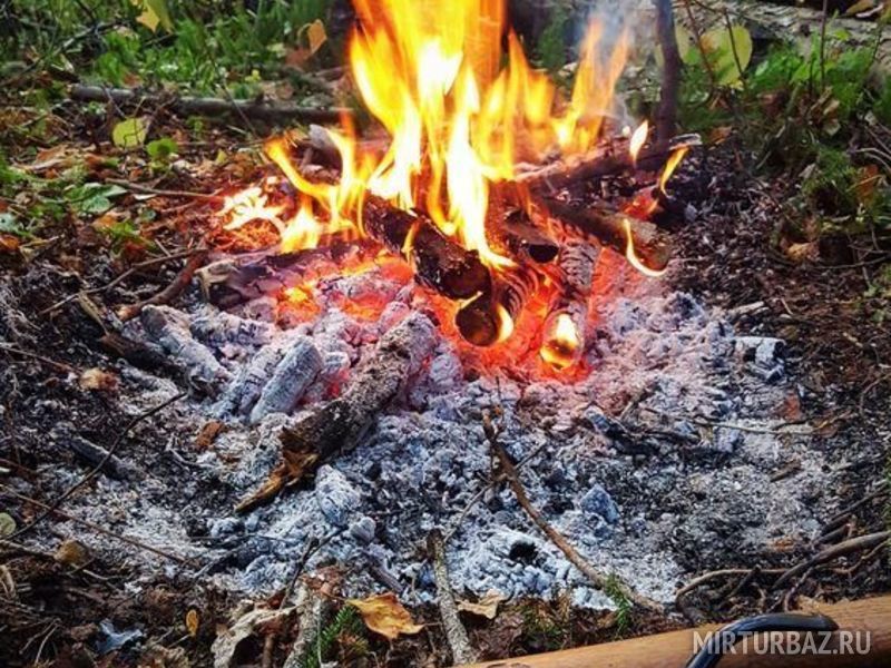 Клуб Здоровых выходных, Челябинская область: фото 5