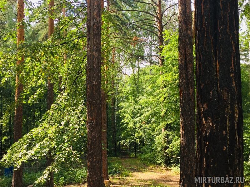 Клуб Здоровых выходных, Челябинская область: фото 4