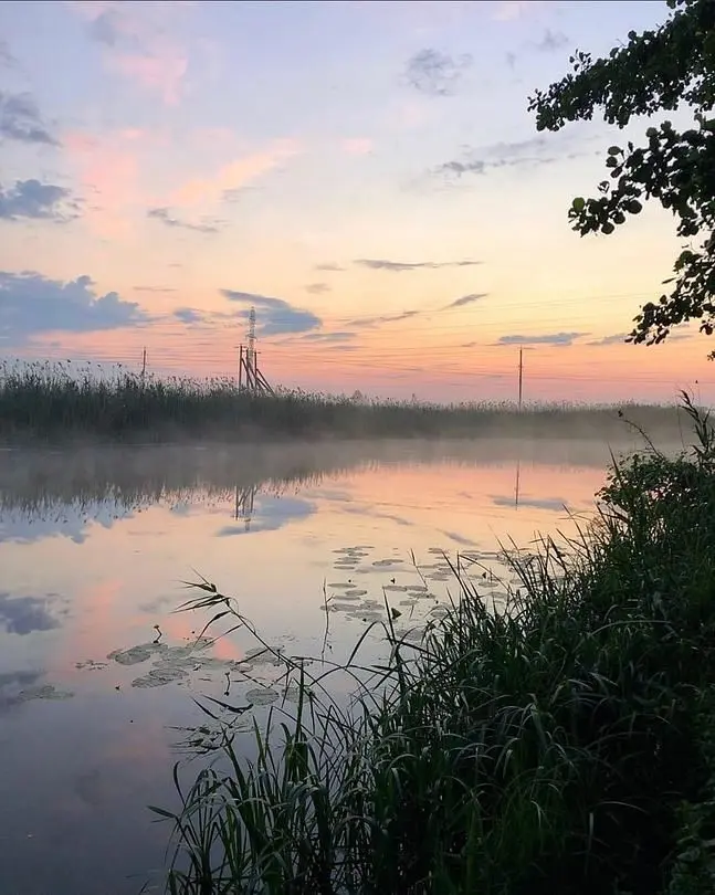 Зеленая поляна, Белгородская область: фото 4