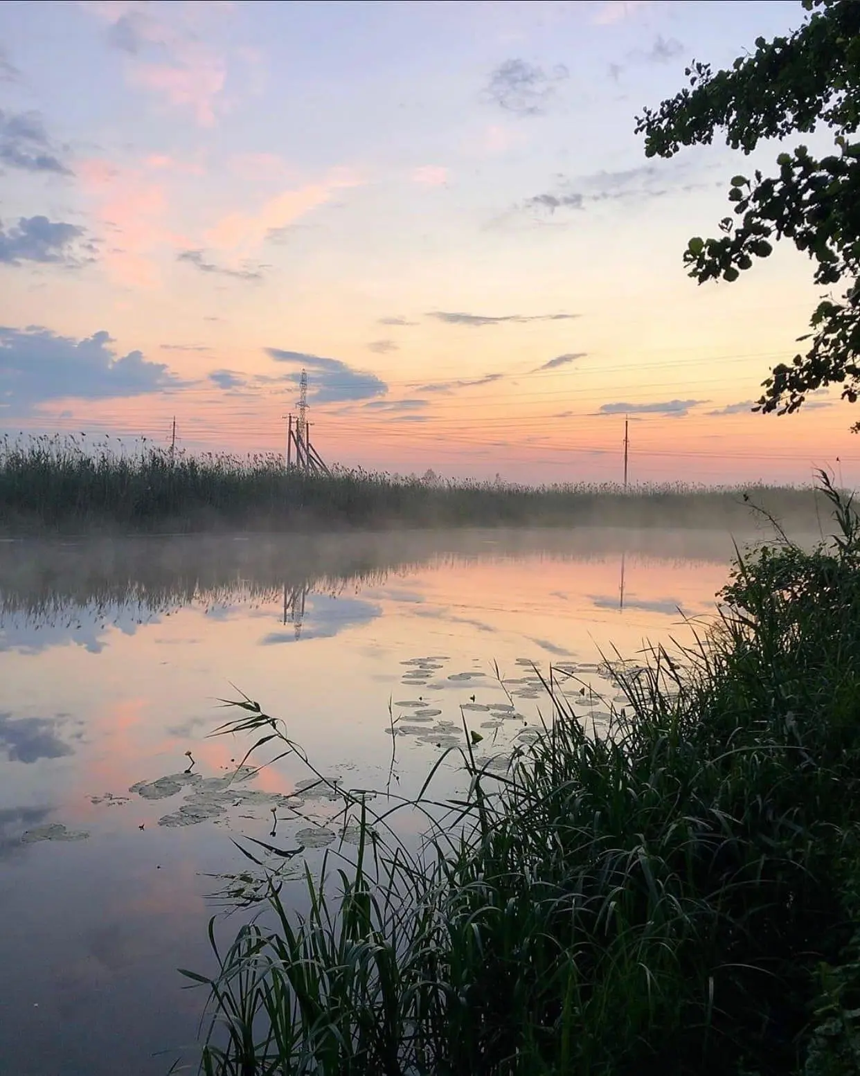Зеленая поляна, Белгородская область: фото 4