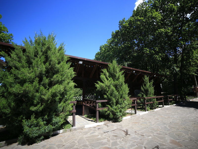 Зеленая поляна, Белгородская область: фото 5