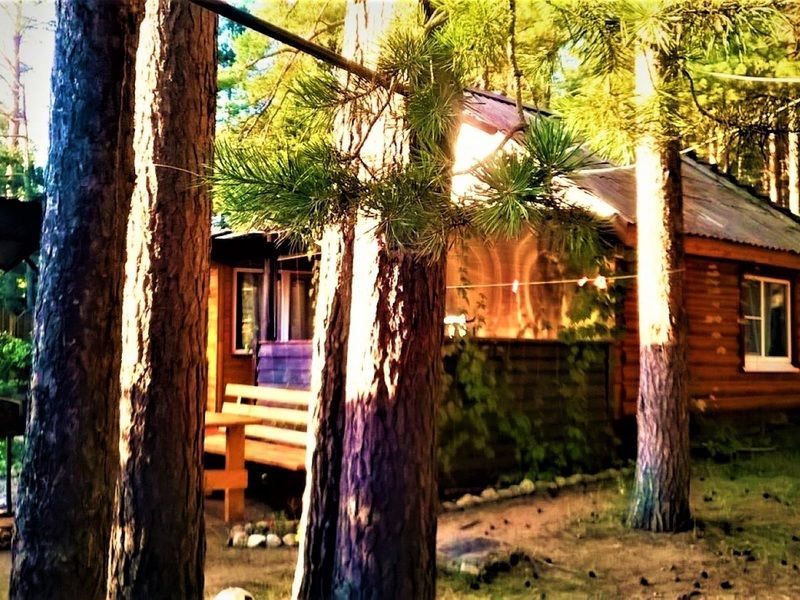 на базе «Чайка-Селигер», Тверская область: фото 3