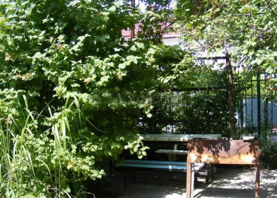 Мангал | Кронштадт, Краснодарский край