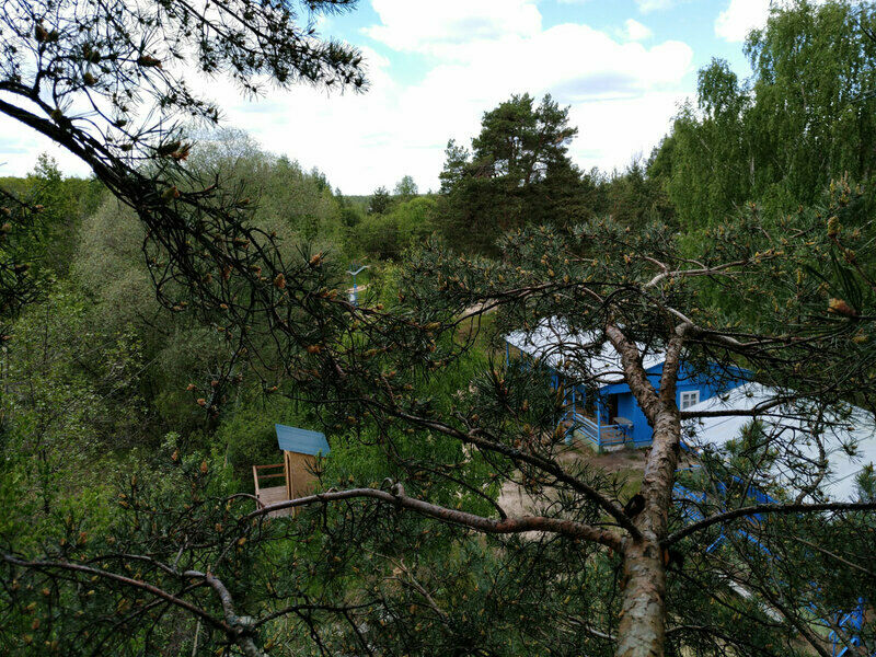 Чайка, Нижегородская область: фото 5