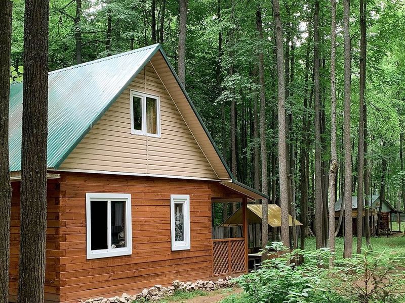 Золотой фазан, Республика Башкортостан: фото 2