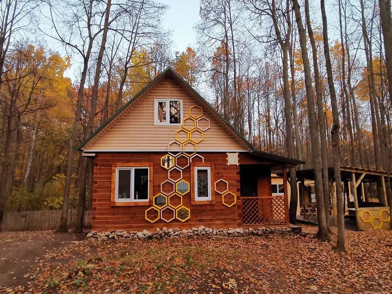 Золотой фазан, Республика Башкортостан: фото 4