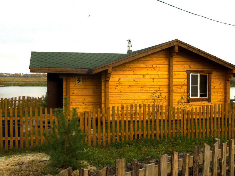Ба-Рыбина, Московская область: фото 4