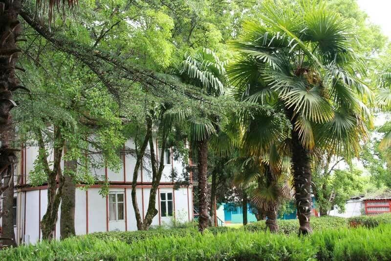 Территория | Эльбрус, Краснодарский край