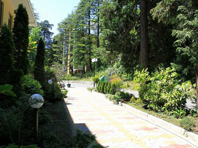 Территория | Рест-Мацеста, Краснодарский край