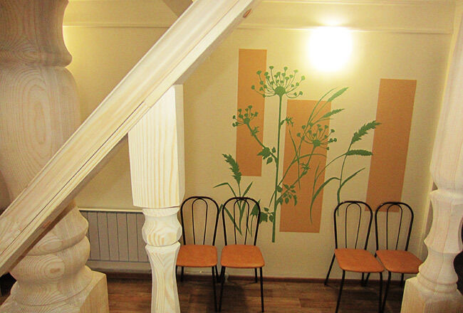 Стулья | Луга Алтая, Горный Алтай (Республика Алтай)