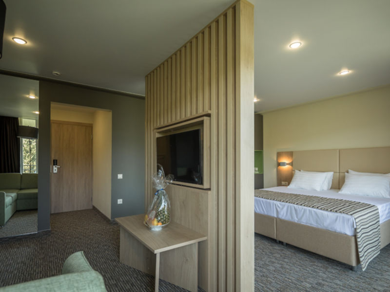 Люкс 4-местный 2-комнатный (VIP корпус 2)