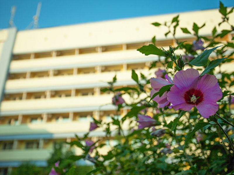 Санаторий Москва-Крым, Крым, Керчь село Осовины