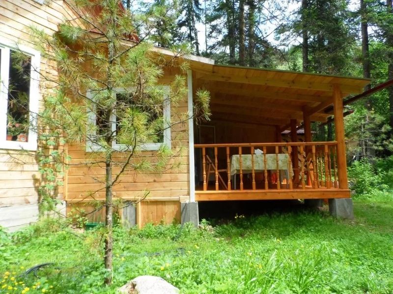 Бия Заповедная, Горный Алтай (Республика Алтай): фото 3