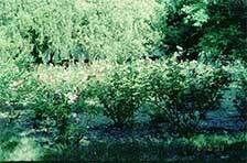 Территория | Голубая даль, Краснодарский край