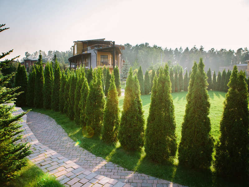 Artiland, Московская область: фото 5